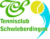 TC Schwieberdingen